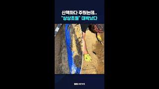 산책하다 주웠는데.."상상초월" 대박났다 #shorts