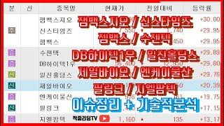 [이슈정리 + 기술적분석] 젬백스지오, 신스타임즈, 젬벡스, 수젠텍, DB하이텍1우, 일진홀딩스, 제일바이오, 엔케이물산, 필링크, 지엘팜텍