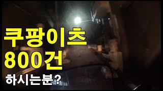 쿠팡이츠 800건 미션 해야할까? 야간 피크 배달 4시간 | 수입 | 거리 | 단가