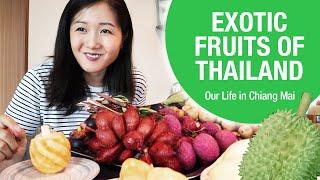 MUST TRY Fruits in Thailand | Expat Life in Chiang Mai