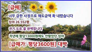 [급매] 너무급한 사정으로 매도금액 확내렸습니다 임야26.552평 도로 전기 물 완벽합니다 이지역에서는 제일 싼 매도금액 확신합니다 평당3600원  [급매도]