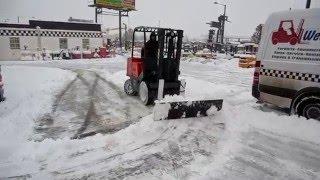 Western Material Handling Forklift