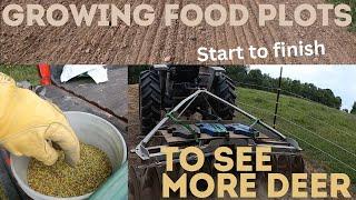 Growing Food Plots To See More Deer | Planting Food Plots From Start To Finish