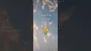 فديت 