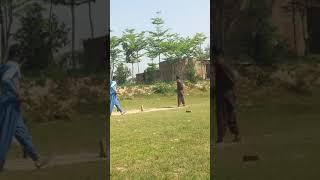 Today omg cricket#shorts #viral #india #trending #viral #cricket