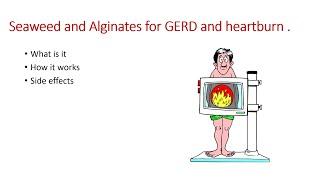 GERD treatment. Seaweed and Alginates for GERD and heartburn. Possible side effects. Gaviscon