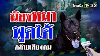 น้องหมาพูดได้ คล้ายเสียงคน | 20 ก.ค. 67 | ข่าวแสบเฉพาะกิจ