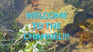 Welcome to the channel!!!