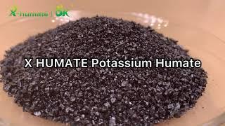 X HUMTE Super 100% water-solubility fertilizer shiny granular Potassium Humate/Humic Acid