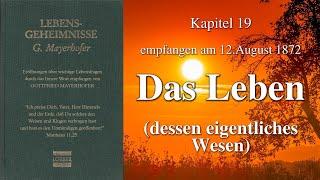 GOTTES WORT - DAS LEBEN - LEBENSGEHEIMNISSE - Kapitel 19 - empfangen von Gottfried Mayerhofer