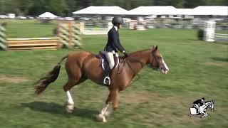Charlotte Jumper riding at the 2019 Medal Finals