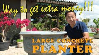 Large Concrete Planter - Way to make some extra money!