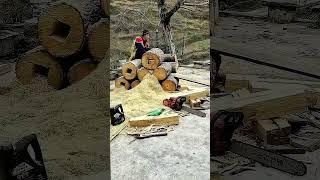 The process of digging a wood core