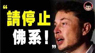 馬斯克 ：成年人該有的6個 狼性精神 ，必成大事！《 狼道 》 躺平 只会害人害己！年轻人怎么了？  特斯拉 spacex 马斯克 管理學 心理学 個人成長 个人成长 硅谷钢铁侠 硅谷鋼鐵俠 自我提升