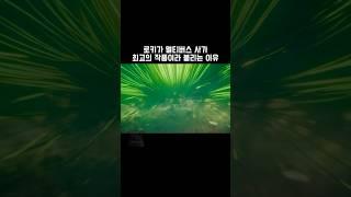 로키가 멀티버스 사가 최고의 작품이라 불리는 이유 #마블