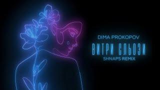 Dima PROKOPOV - Витри сльози (Shnaps Remix)