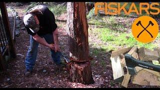 Fiskars X11 Axe Chopping Tree Test