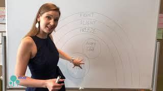 Schema Conceptualisation - Schema Therapy - Schema modes map