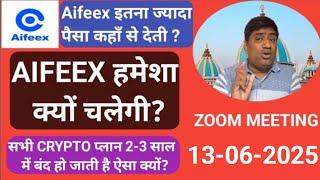 Aifeex Business Plan Presentation | Aifeex Zoom Meeting 13-06-2025 | Aifeex Business Plan Review