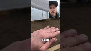 Подготовка второго череночника к черенкование🫡
