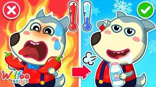 Be Careful! It's Spicy!   Flavour Song  Wolfoo Nursery Rhymes & Kids Songs