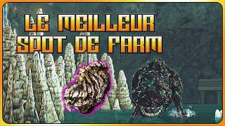 Dark Souls 2 Farm d'Os de Dragon Pétrifiés : Le MEILLEUR Spot