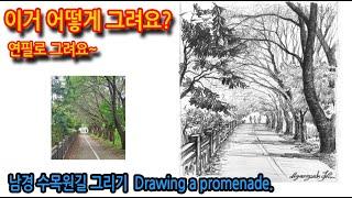 티노씨드로잉 [44강]터널같이 이어진 나무들 그리기(남경 수목원길) Drawing a promenade.#나무그리기#연필드로잉#풍경스케치