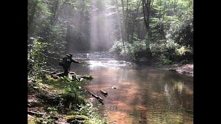 How to keep wild eastern brook trout on the map