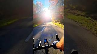 It's a beautiful day on Earth. Why not live it? #cycling #commute #commutebybike #autumn #sunnyday