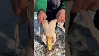 Winter Survival Skills: Cooking Chicken in an Unusual Way in the Woods️🪣#bushcraft #camping