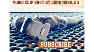 OSMO mobile 3 & iphone 11