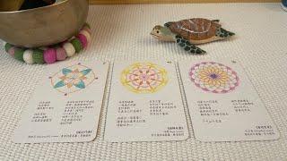 「擺渡人tarot」你對我真實的情感？ #愛情塔羅占卜