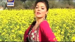 Desi Kuriyan Season 3 Teaser 8 Saima ARY Digital