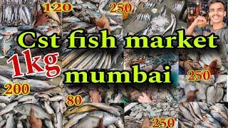 Cst fish market mumbai | fish market | fish market mumbai | Mumbai cst fish market