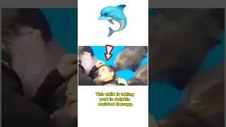 Healing Powers of Dolphins  (@fascinatingglobe - IG) #dolphin #dolphinsounds