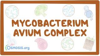 Mycobacterium avium complex - causes, symptoms, diagnosis, treatment, pathology