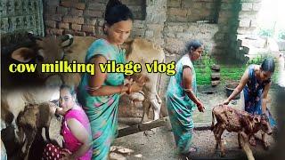 श्रिया जी की नाइट cow  milking//cow milking vlog//my vlog