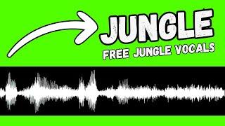 FREE jungle Vocal Samples || BY BLU MAR TEN