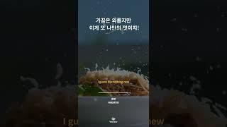 [Wavbor X 스친픽 플리] / #playlist #플레이리스트 #플리 #artist #해무
