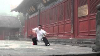 Bagua demonstration