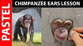 Drawing Animals with Pastel Pencils - Jason Morgan Art