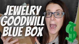 Goodwill Blue Box Review | Blue Box Jewelry | Jewelry Unboxing | Mystery Unboxing | Jewelry Tips