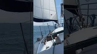 You need to do this ️ Smooth sailing! #shorts #sailing #sailor #sailboat #catalina30
