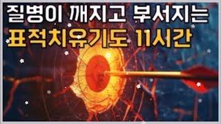 🩸️표적치유기도 11시간 반복 / 질병이 깨지고 부서지는 표적치유기도 11시간 / 읽는 기도책 저자, 무명의 목사님의 사모님