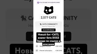 Новый бот в телеграм - CATS, аналог DOGS