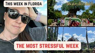 The most stressful week | Weekly Vlog