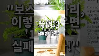 "보스턴고사리, 이렇게 키우면 '100%' 성공이렇게 키우면 '100%' 성공합니다!"
