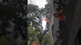 এইস টি লাইন সাট ডউন | Desco HT Line's Baral Downs | Transformer Shutdown