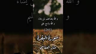 ﴿قناة الفرقان﴾ سورة : البقرة / الآية : [261_262] / القارئ : مشار العفاسي