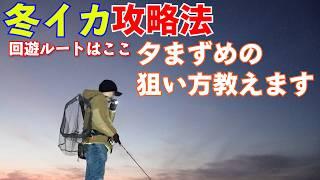 【冬イカエギング攻略法】夕まずめの効果時間は〇分。狙うならここを狙えばでかいの釣れる